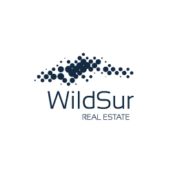 wildsur.webp